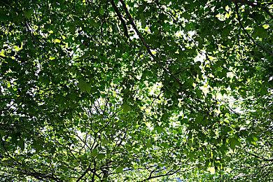 《天国：拯救2》将免费提供给前作的部分众筹支持者